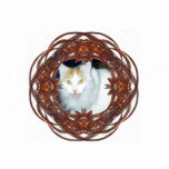 Ornate Red and Brown Vine Like Fractal Art Frame