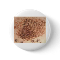 Ornithogalum (Star of Bethlehem) Pinback Buttons