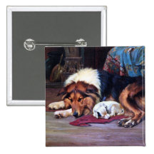 Orphan Dog with Collie Vintage Art Buttons