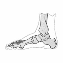 Orthopaedic Logo