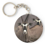 Oryx antelope keychains