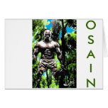 OSAIN BY LIZ LOZ cards