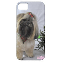 Oscar 1 iPhone 5 cases