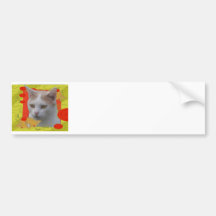 Oscar Bumper Stickers