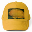 Oscar hats