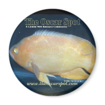 Oscar Refrigerator Magnet