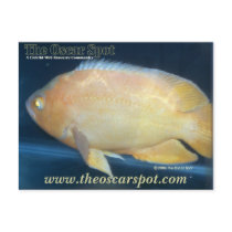 Oscar Postcard
