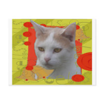 Oscar Post Card