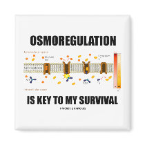 Osmoregulation Is Key To My Survival