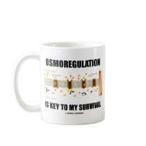 Osmoregulation Is Key To My Survival Mug