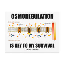 Osmoregulation Is Key To My Survival