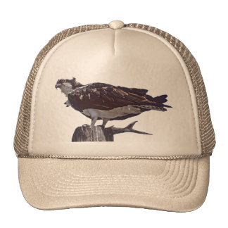 osprey cap