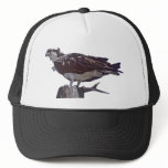 Osprey Bird hats
