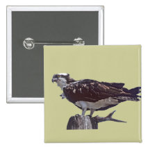 Osprey Bird Pinback Button