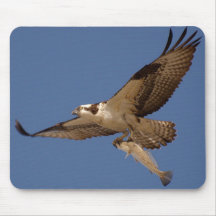 Osprey Fisher Mousepads