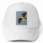 osprey hats