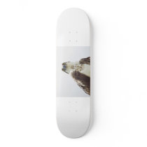 Osprey Hawk Skateboard