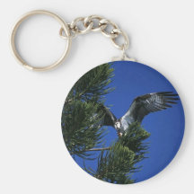 Osprey Key Chain