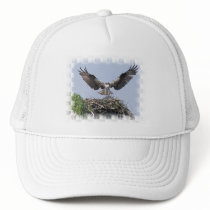 Osprey Nest Baseball Hat