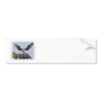 Osprey Nest Bumper Stickers