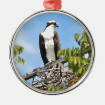 Osprey Ornament