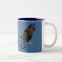 Osprey Raptor & Halibut Fish Mug