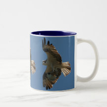 Osprey Raptor & Halibut Fish Mug