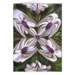 Osteospermum Abstract cards
