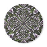 Osteospermum Abstract magnets