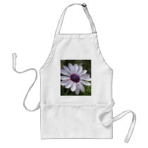 Osteospermum Aprons