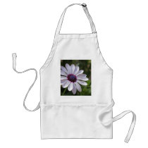 Osteospermum Apron