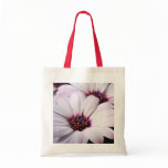 Osteospermum bags