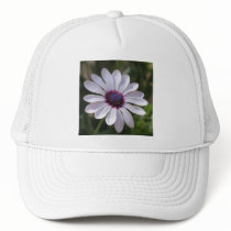 Osteospermum Mesh Hats