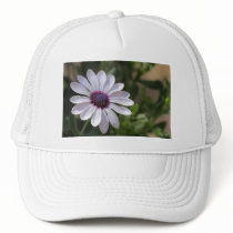 Osteospermum Trucker Hat