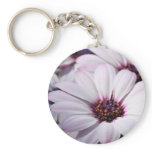 Osteospermum keychains