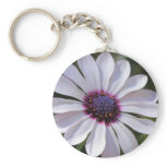 Osteospermum keychains