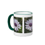 Osteospermum mugs