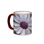 Osteospermum mugs