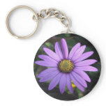 Osteospermum 'Stardust' Keychain