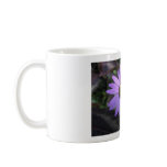 Osteospermum 'Stardust' Mug