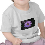 Osteospermum 'Stardust' T-Shirt