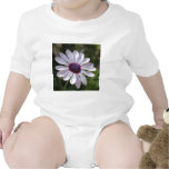 Osteospermum Tees