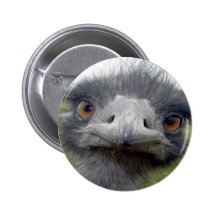 Ostrich Button