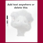 Ostrich dry erase boards