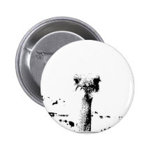Ostrich Head in Pen and Ink Button