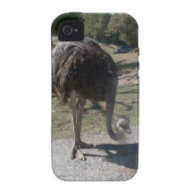 Ostrich iPhone 4 Covers