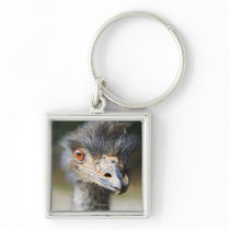 Ostrich Key Chain