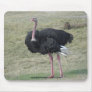 Ostrich Mouse Pad