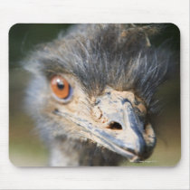 Ostrich Mouse Pads