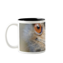 Ostrich Coffee Mugs